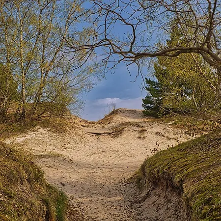 4 Person In 보르콥